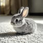🎁50% off for a limited time🎁🐇Bunny - My Realistic Bunny Toy