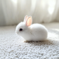 🔥2025 HOT SALE 🐇 Happy Discount - Meet your new realistic bunny companion