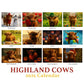 2026 Highland Cow Wall Calendar