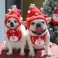 🎁Gift for your furbaby 50% OFF🎄🎅Adorable Christmas Tree Pom-Pom Hat