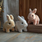 🎁50% off for a limited time🎁🐇Bunny - My Realistic Bunny Toy