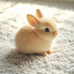 🔥2025 HOT SALE 🐇 Happy Discount - Meet your new realistic bunny companion