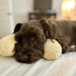 🎁2025 New Year Sale 49% OFF🎁Calming Pillow - Soothe Anxious Pets