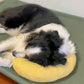 🎁2025 New Year Sale 49% OFF🎁Calming Pillow - Soothe Anxious Pets