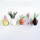 🌺LAST DAY PROMOTION -50% OFF🌺Mini Ceramic Vase Fridge Magnet✨