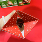 💝CHRISTMAS SALE🔥🎅 Pop Up Surprise Christmas Gift Boxes🎄